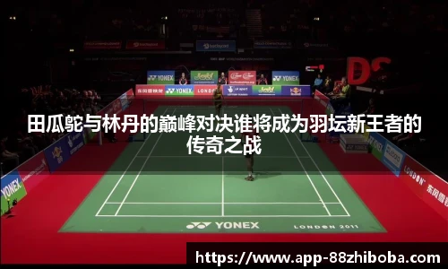 田瓜鸵与林丹的巅峰对决谁将成为羽坛新王者的传奇之战